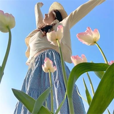 大明天子